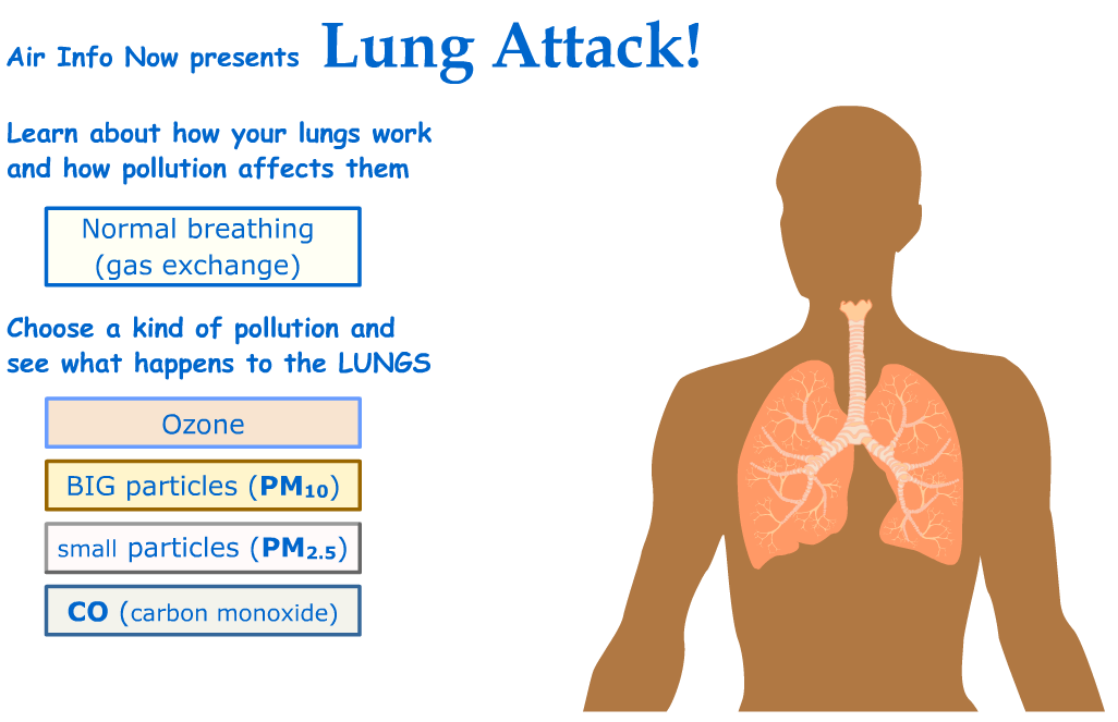 Particulate Matter: What is it and what does it do